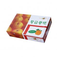 韩国丰水梨